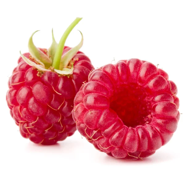 Raspberry segar matang — Stok Foto