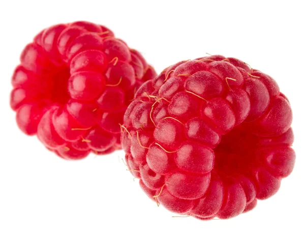 Framboises fraîches mûres — Photo