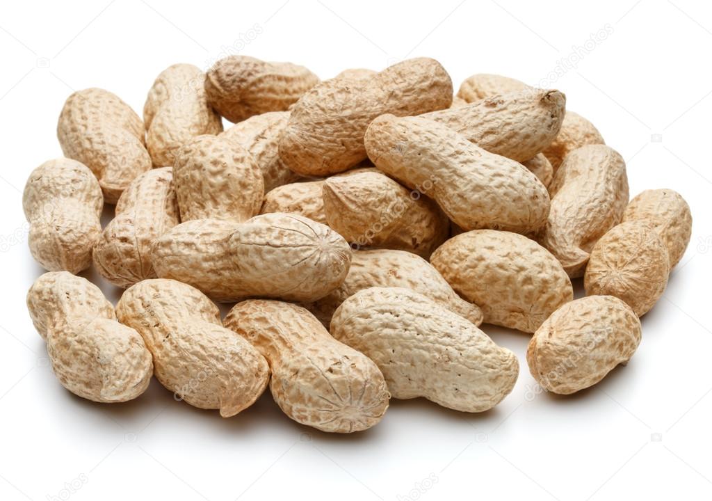 arachis peanut pods