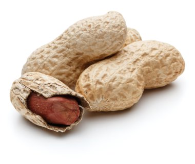 Arachis Fıstık kabukları