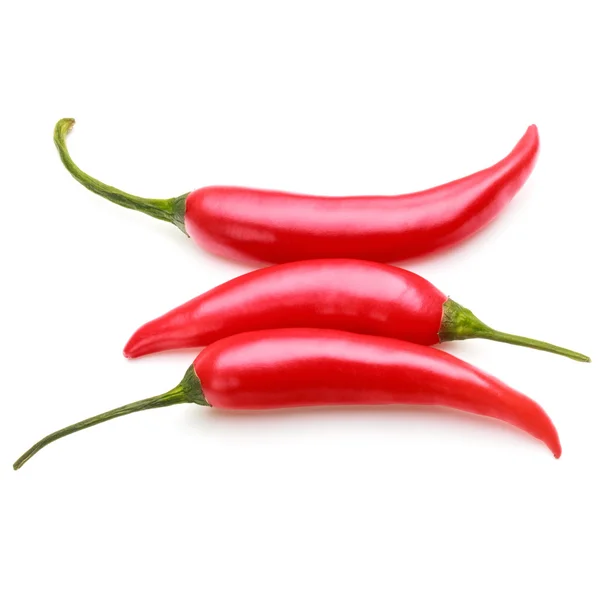 Rød chili-paprika – stockfoto