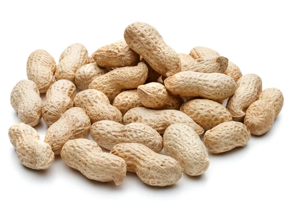 Arachis Fıstık kabukları