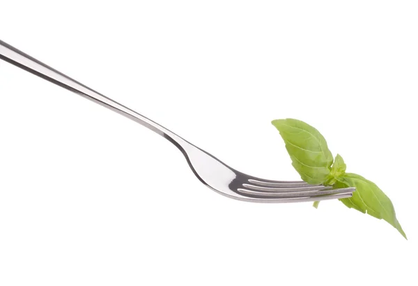Fresh basil leaf on fork — Stock Photo, Image