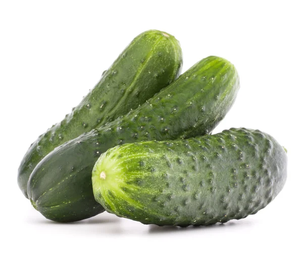 Ripe fresh Cucumbers — Stock Photo, Image