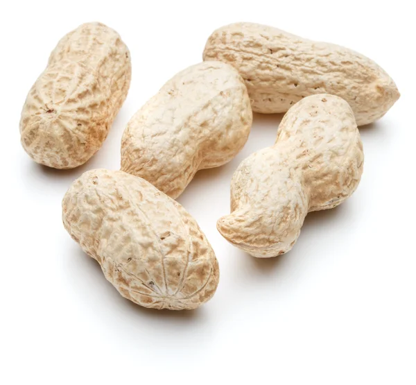 Ízletes arachis dió — Stock Fotó