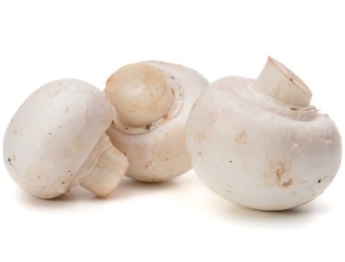 Beyaz üzerine üç petrol