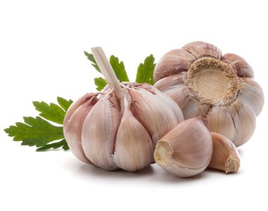 Sarımsak ampuller ve maydanoz bitki