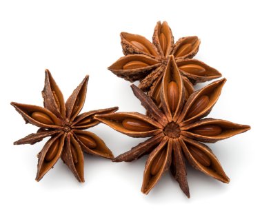 Yıldız anason baharat meyve