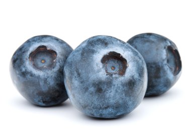 yaban mersini ya da bilberries ya da böğürtlen