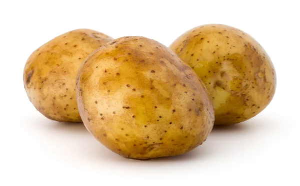 Картофельные клубни на белом — стоковое фото