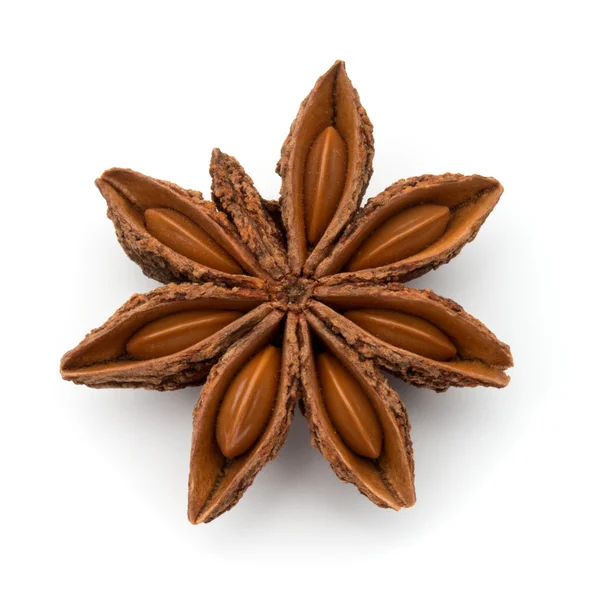 Пряности Star Anise — стоковое фото