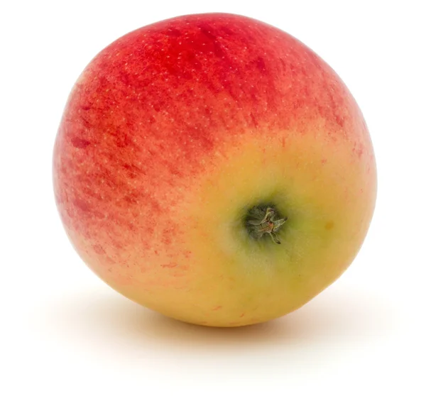 Целое красное яблоко — стоковое фото