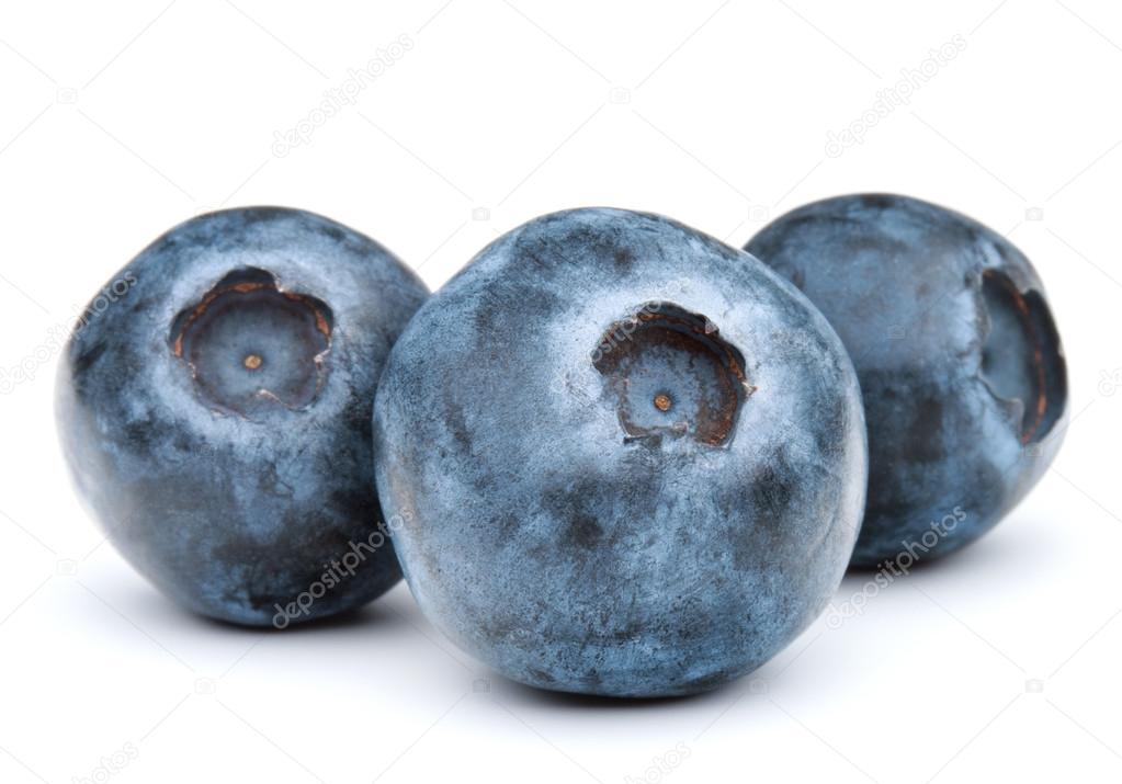 blueberries or bilberries or blackberries