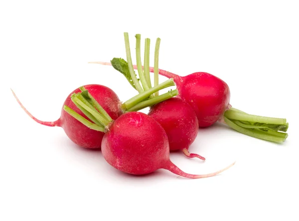 Small garden radishes — Stock Photo, Image