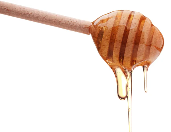 Honing druipend op wit — Stockfoto