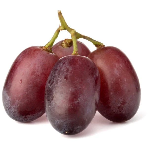 Pęczek czerwonych winogron — Zdjęcie stockowe