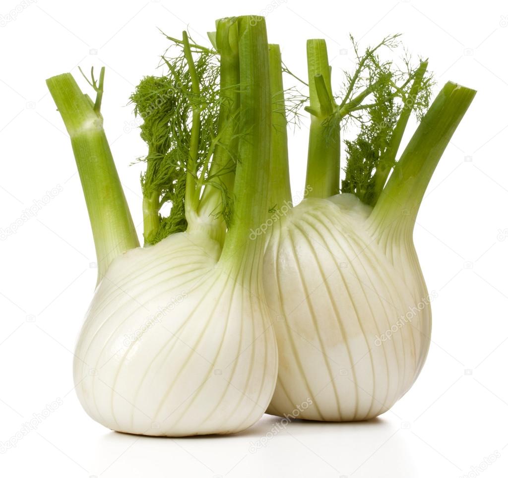 Fresh fennel bulbs