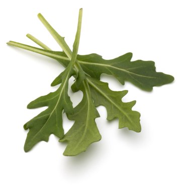 Tatlı rucola salata yaprakları