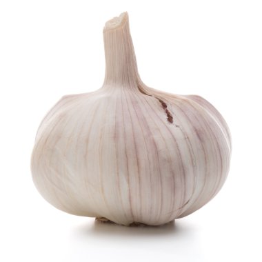 Olgun taze sarımsak ampul