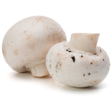 Taze ham petrol yığını