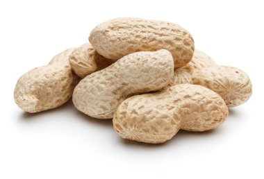 Fıstık Kruvazörlerin de arachis yığını