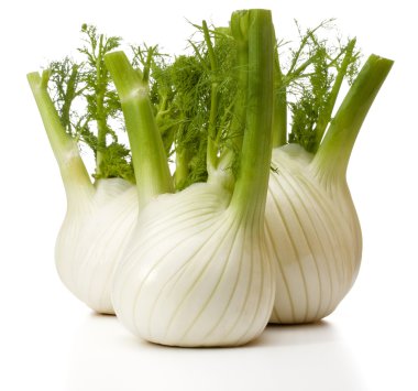 Taze rezene Ampüller