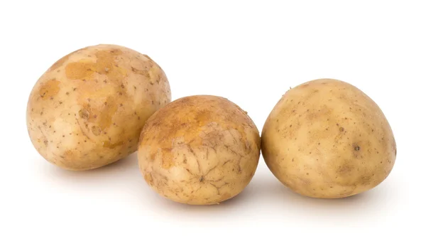 Новые клубни картофеля — стоковое фото