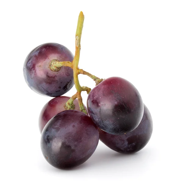 Cacho de uva vermelha — Fotografia de Stock