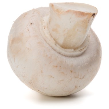 Taze çiğ Champignon