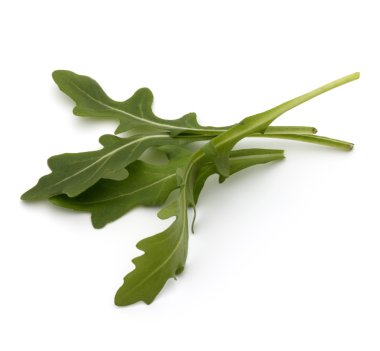 Tatlı rucola salata yaprakları