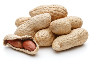 Fıstık Kruvazörlerin de arachis yığını