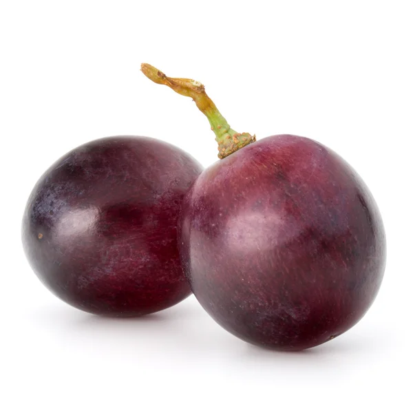 Cacho de uva vermelha — Fotografia de Stock