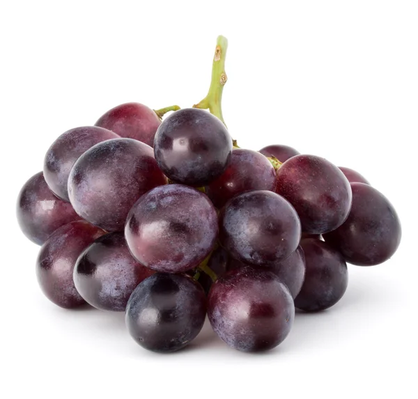 红葡萄浆果 — 图库照片