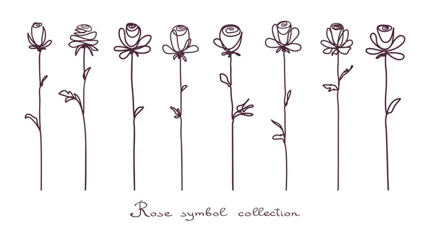 Rosas. Colección de esbozo de flor de rosa aislada sobre fondo blanco — Archivo Imágenes Vectoriales