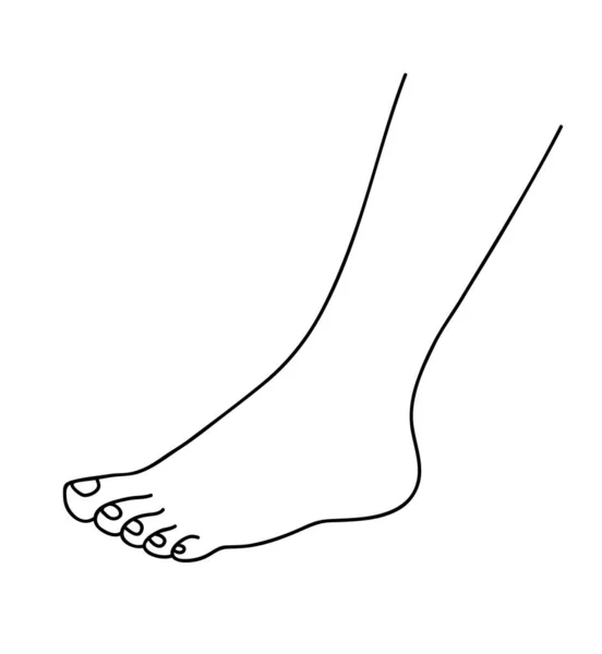 人类的脚赤裸美丽的小脚 身体护理和美的概念 直线艺术矢量说明 — 图库矢量图片