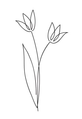 Güzel lale çiçeği buketi.