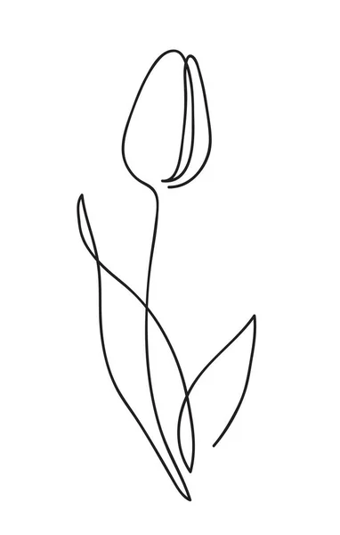 Beautiful tulip flower. Line art — Stock Vector