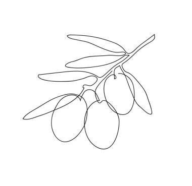 Zeytin dalı. Modern tek çizgi çizimi. Devamlı çizgi çizimi. Çizim tasarımı vektör çizimi.