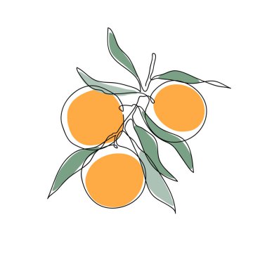 Portakal ağacı dalı. Modern tek çizgi çizimi. Devamlı çizgi çizimi. Tasarım çizimi renk vektörü çizimi.