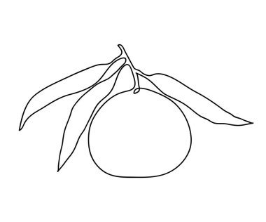 Mandarin ağaç dalı. Modern tek çizgi çizimi. Devamlı çizgi çizimi. Çizim tasarımı vektör çizimi.