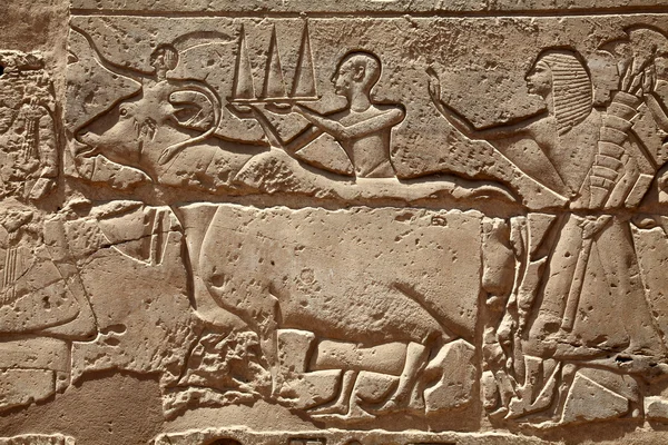 Opluchting cijfers in Egyptische tempel — Stockfoto