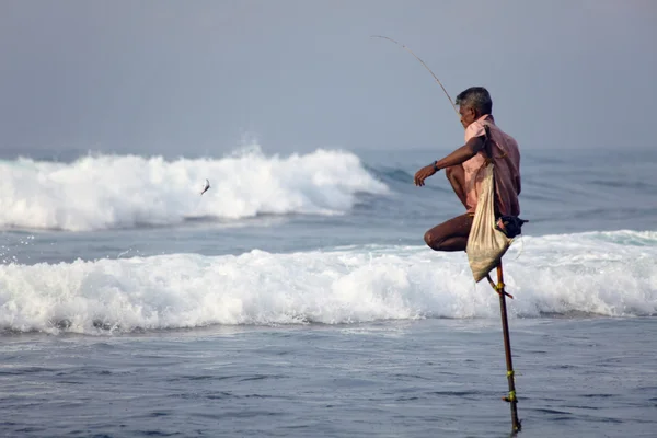 Pescadores tradicionales en Sri Lanka —  Fotos de Stock