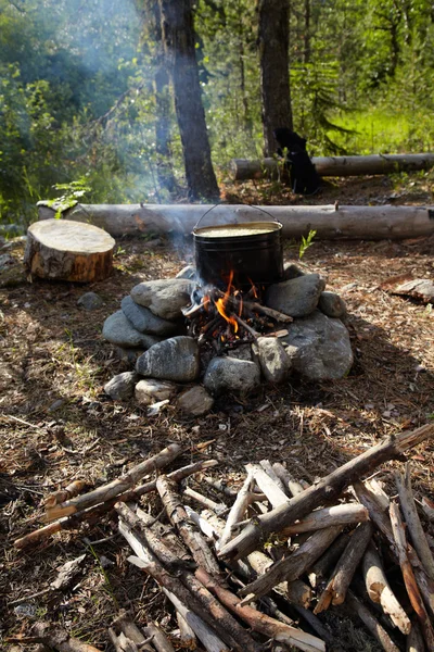 Brann i en skog – stockfoto