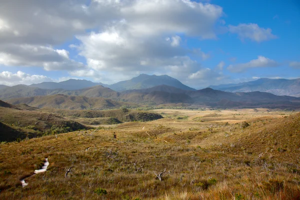 Trail through highland meadows in Tasmanian mountains — Stock Photo, Image