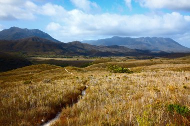 Tazmanya dağlarda yayla çayırlar ile iz