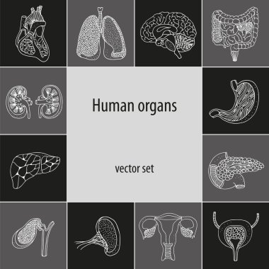 Vektör insan İç organlarla ayarla