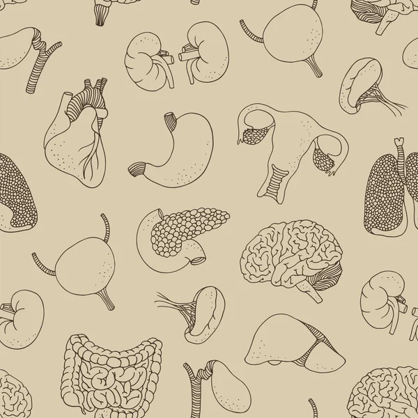 Human internal organs seamless pattern — Stock Illustration Human internal organs seamless pattern Stock Illustration