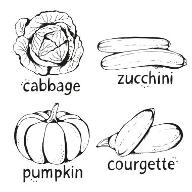 El çizilmiş sebzelervektör toplama, beyaz ba izole