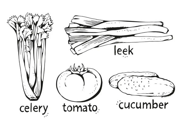 Set von handgezeichneten sortierten Gemüse, Vektor isoliert auf weiß — Stockvektor