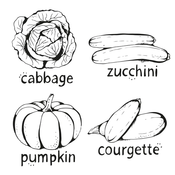 Recogida vectorial de verduras dibujadas a mano, aisladas en ba blanca — Vector de stock